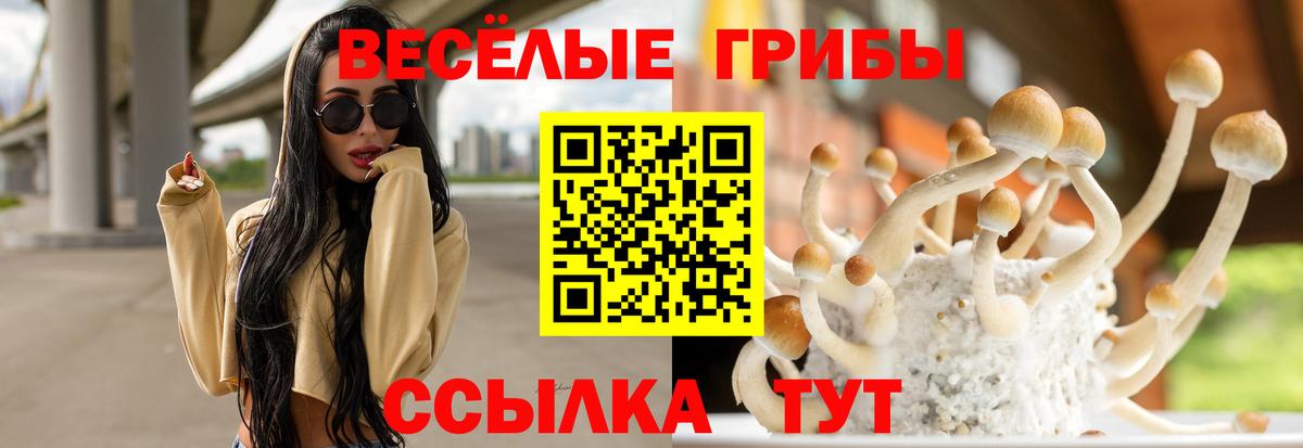 Галлюциногенные грибы Psilocybe Благодарный