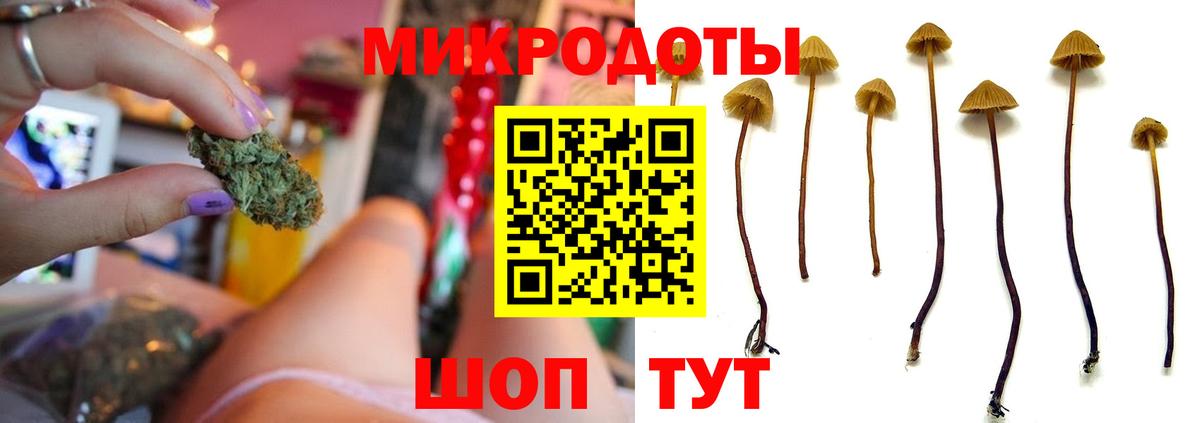 Благодарный  Псилоцибиновые грибы ЛСД  Вход с VPN 